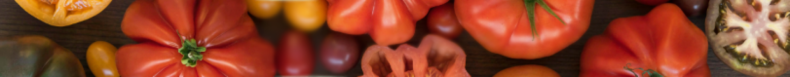 Banniere tomate